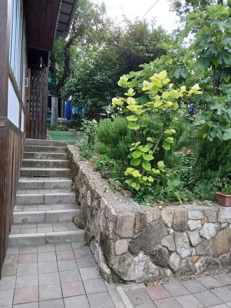 Квартира с террасой