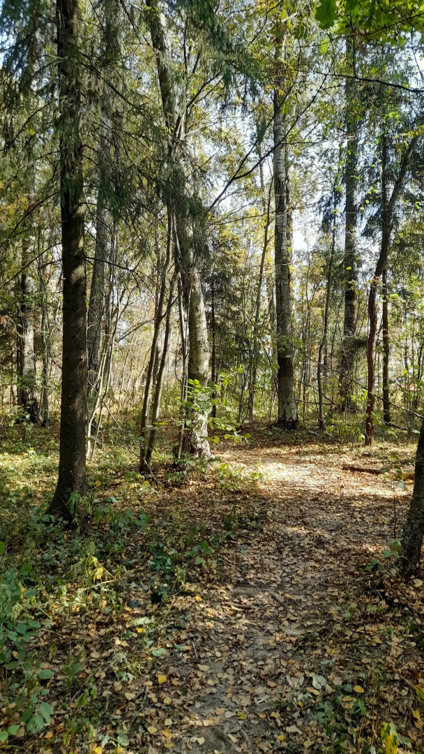 Квартира в ЖК Малая Истра 17