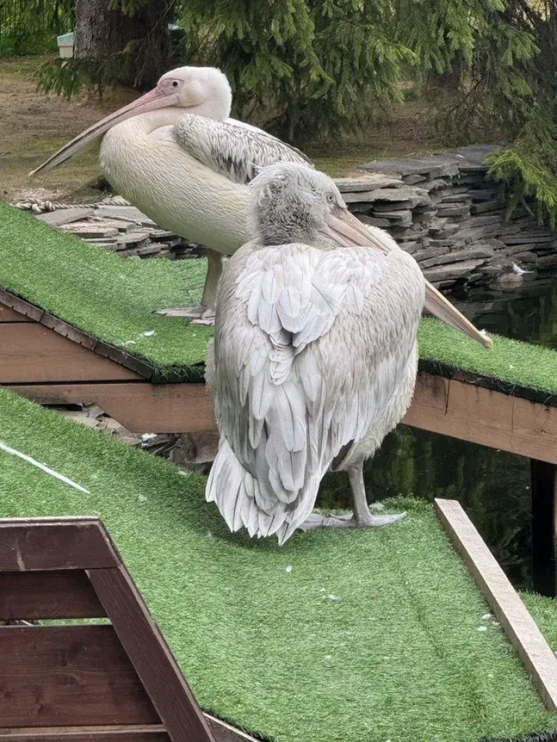 Апартаменты Охта Прованс в живописном курортном месте