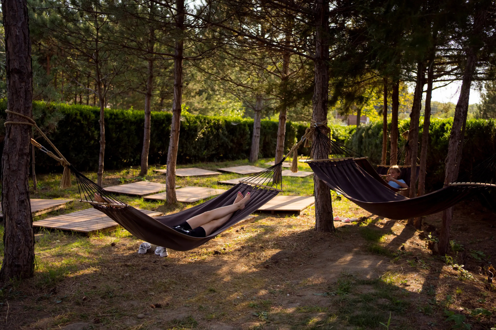 Отель Кедровый Бор