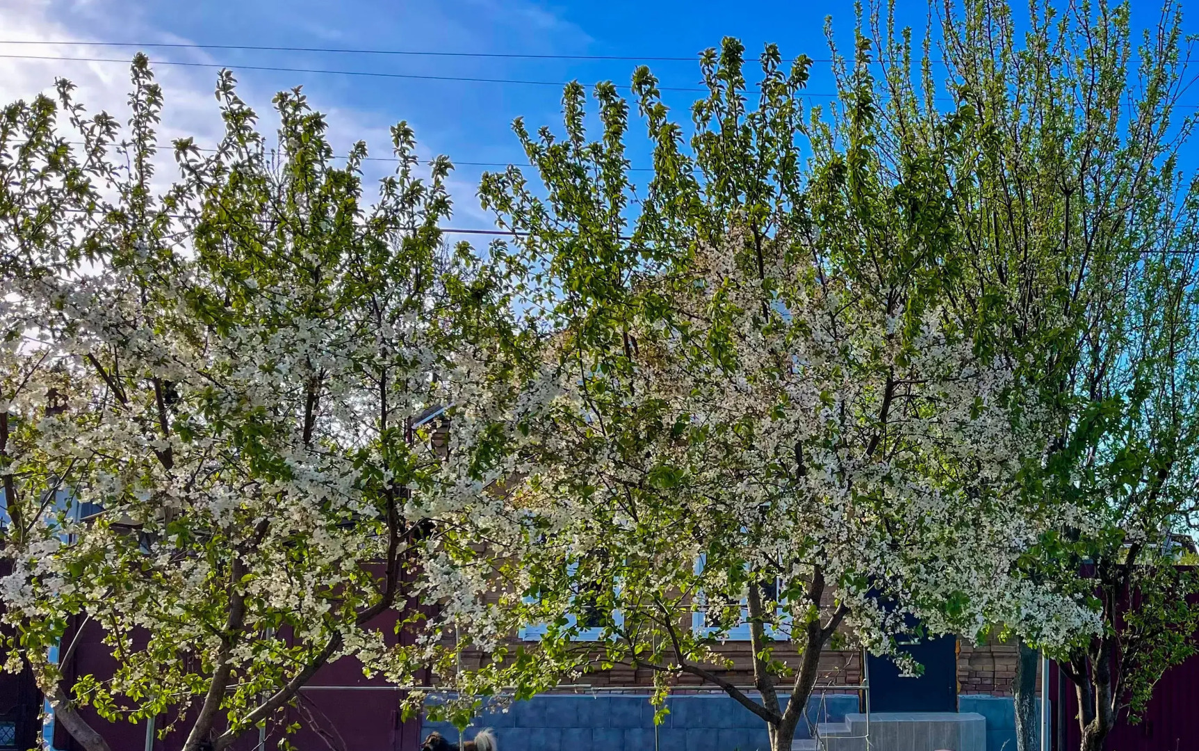 Апартаменты с отдельным входом и парковкой