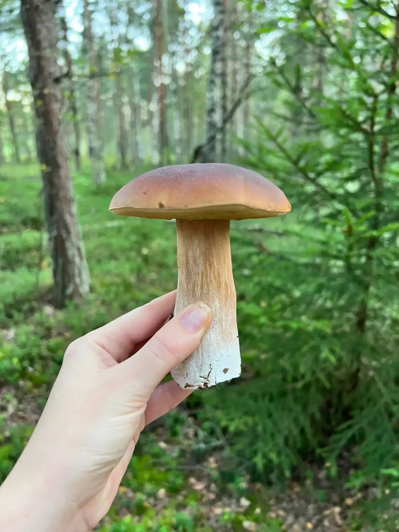 Частный дом с чаном на дровах в ЭКО дуб