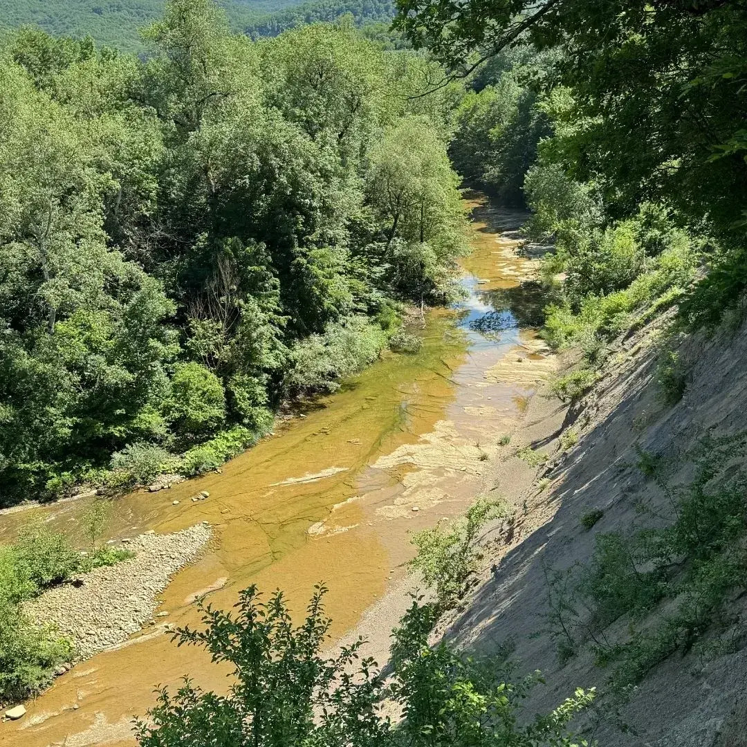 Частный дом Собер Дача рядом с винодельней