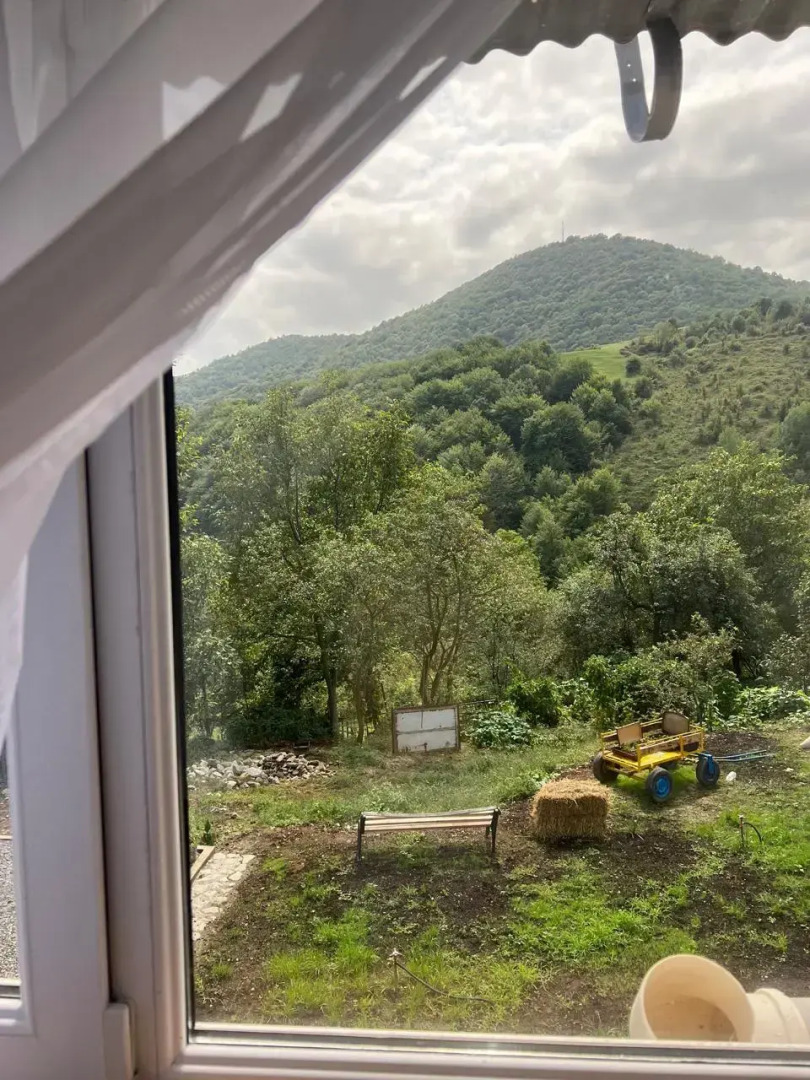 Гостевой дом Hagvi Resort