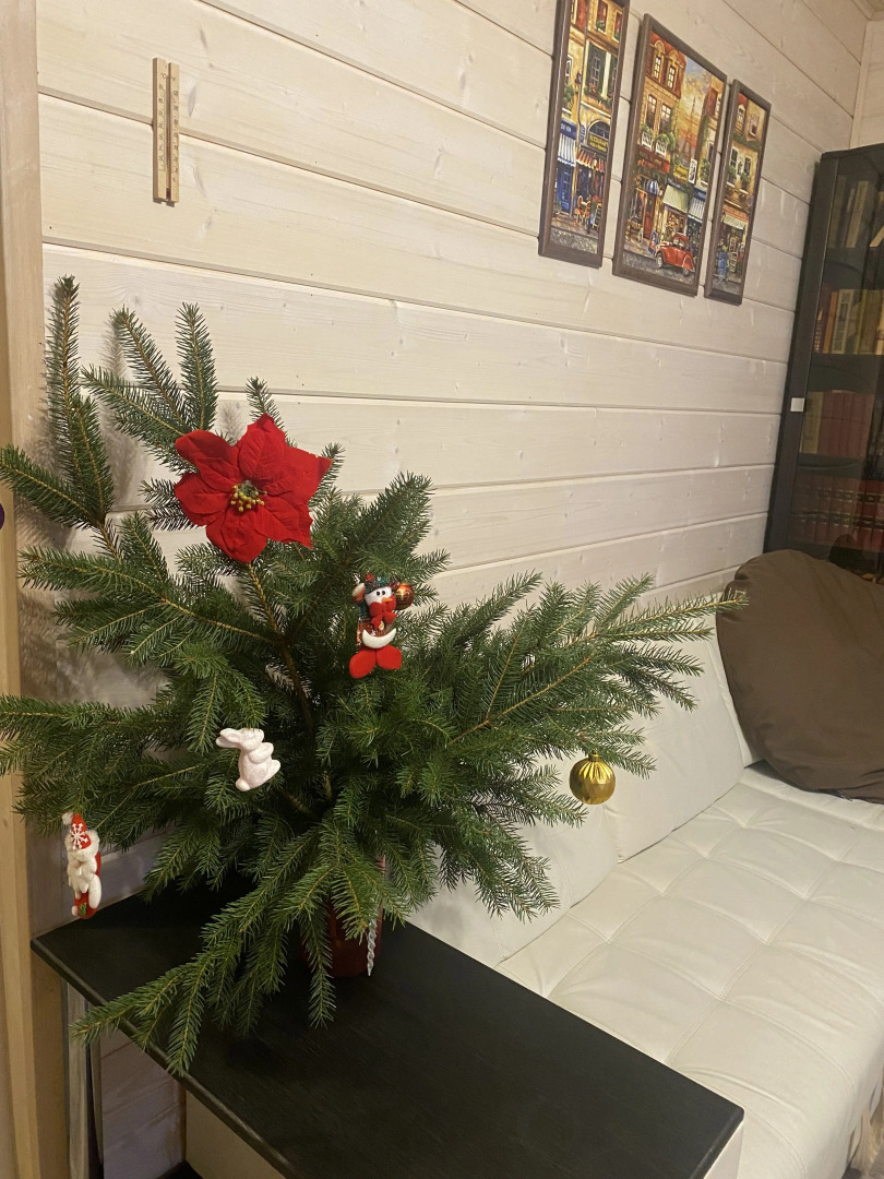 Частный дом на горке в Коробицыно