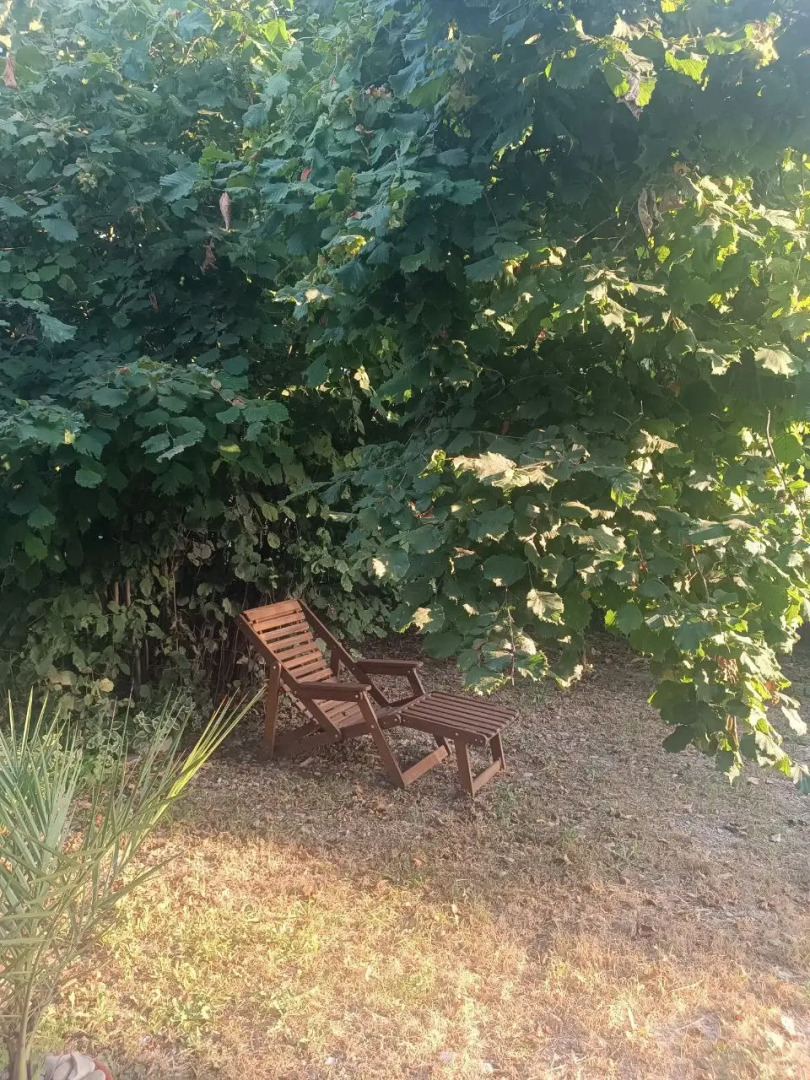 Гостевой дом Два Ясеня