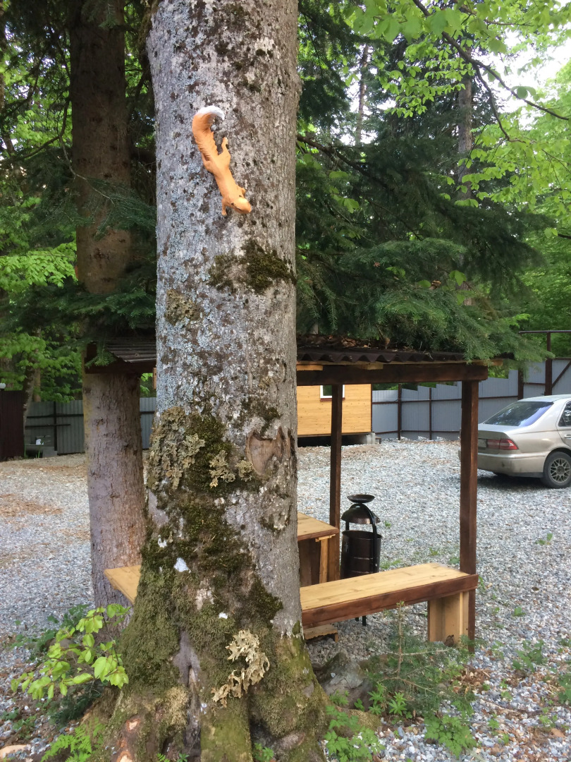 База отдыха В гостях у сказки