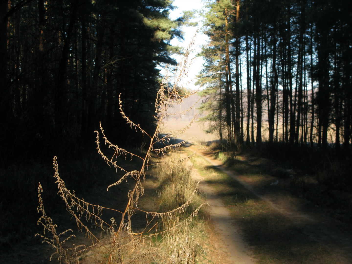Частный дом Гостевой дом Усадьба Теплый хутор