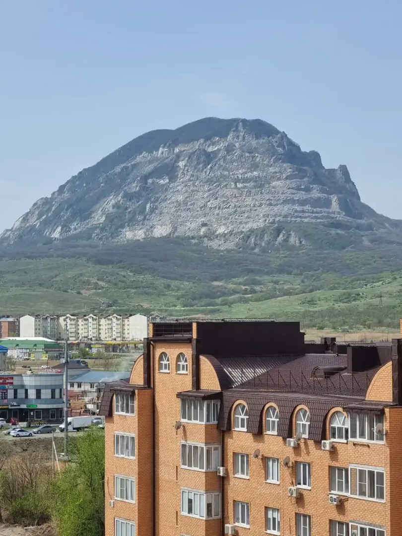 Квартира Olive 1-комнатная