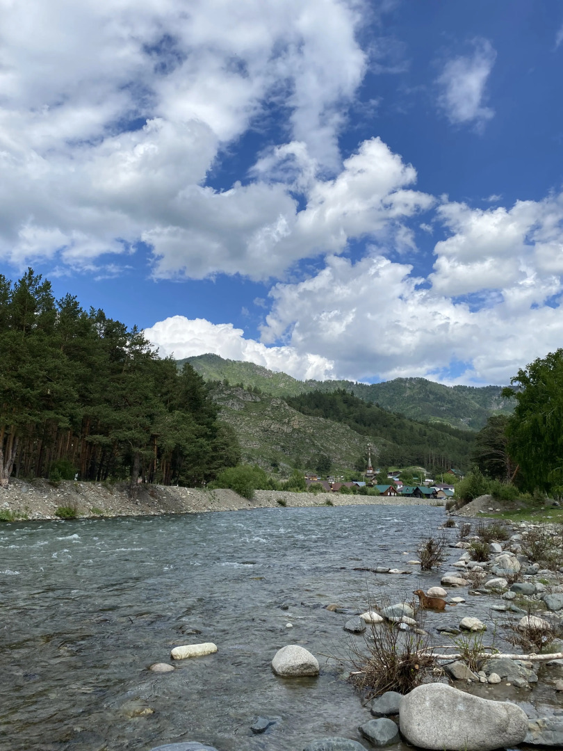 Частный дом Коттедж Чемал