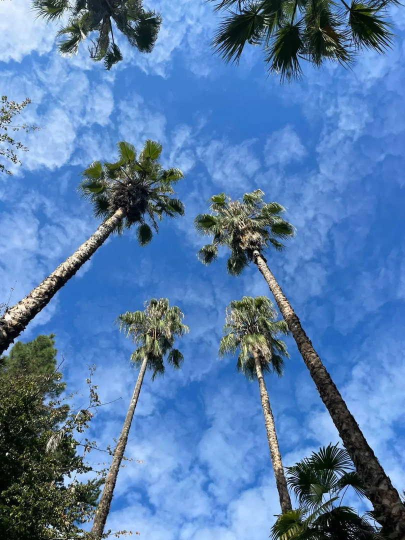 Мини-отель Дендропарк