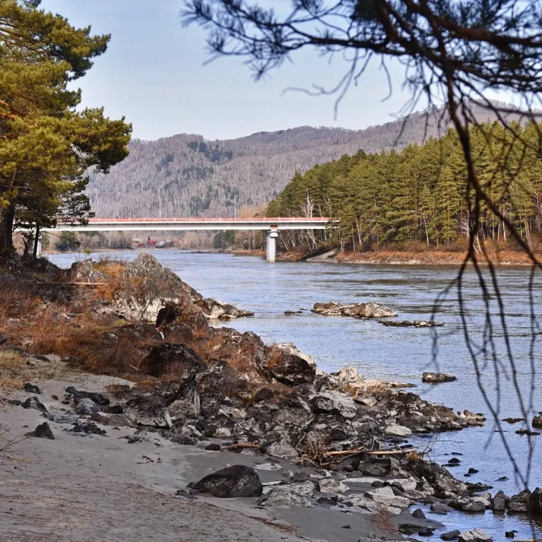 База отдыха Сердце Алтая