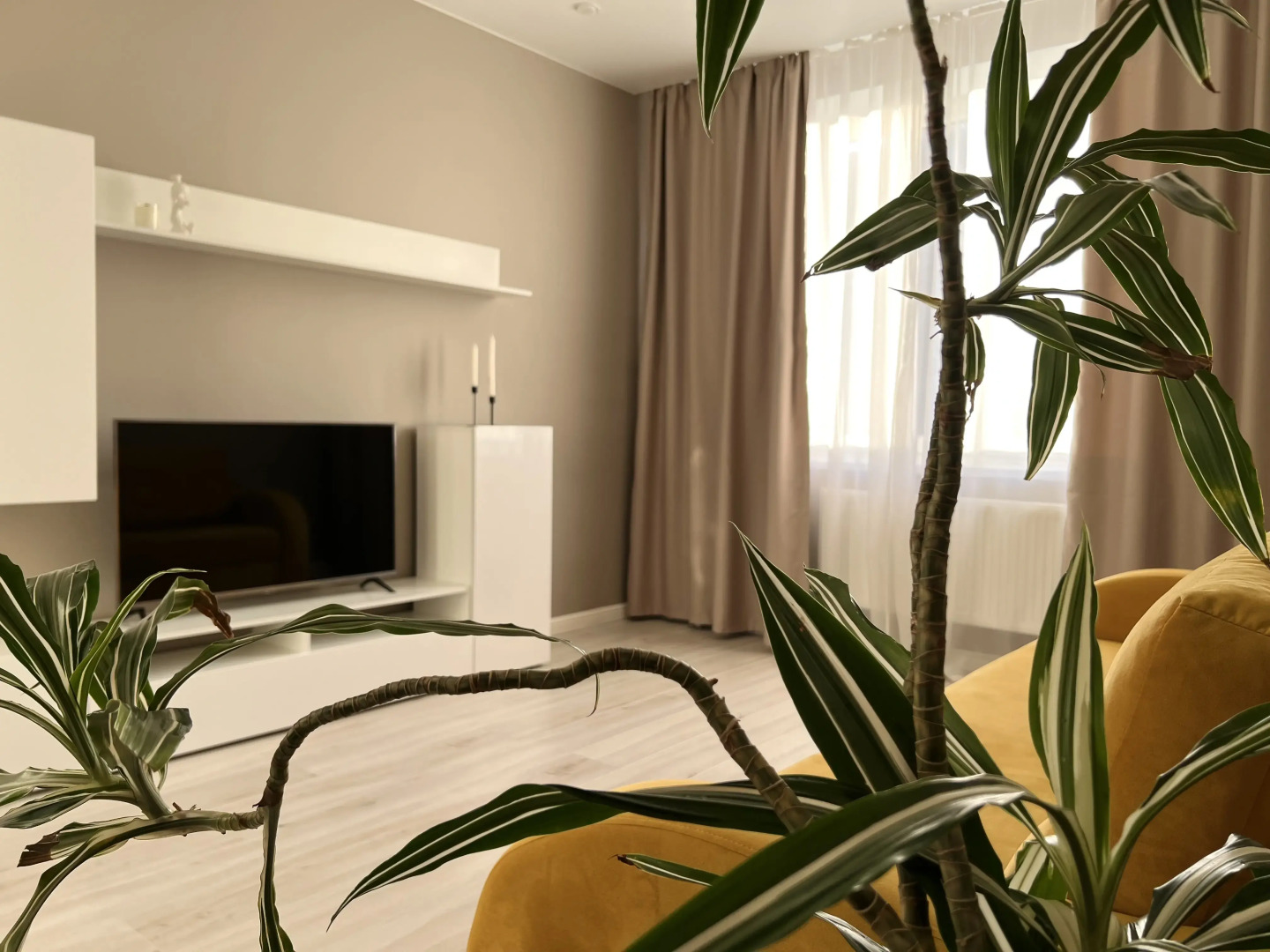 Апартаменты Abramov Velvet