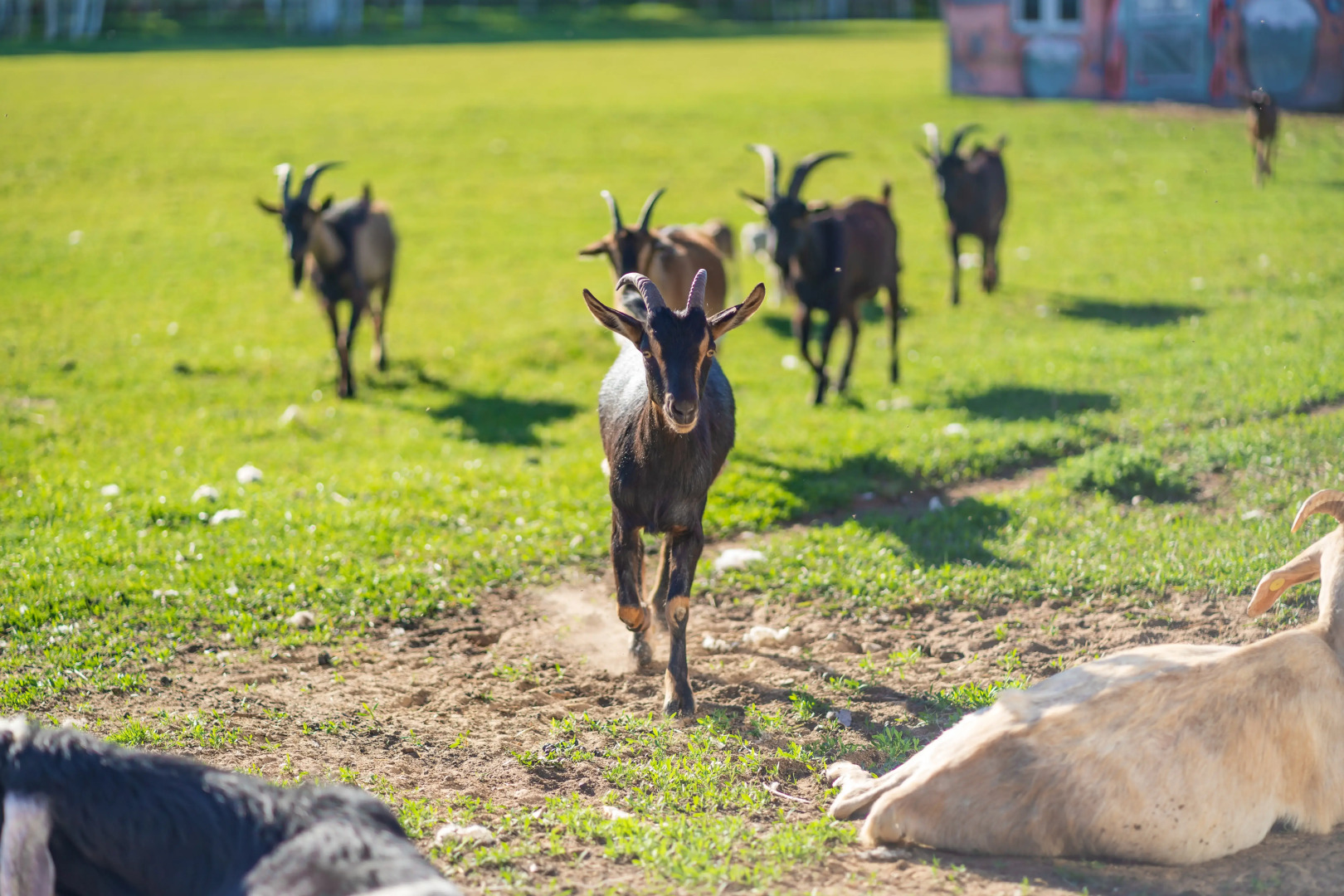 Отель Комплекc Загородного отдыха  Место 7