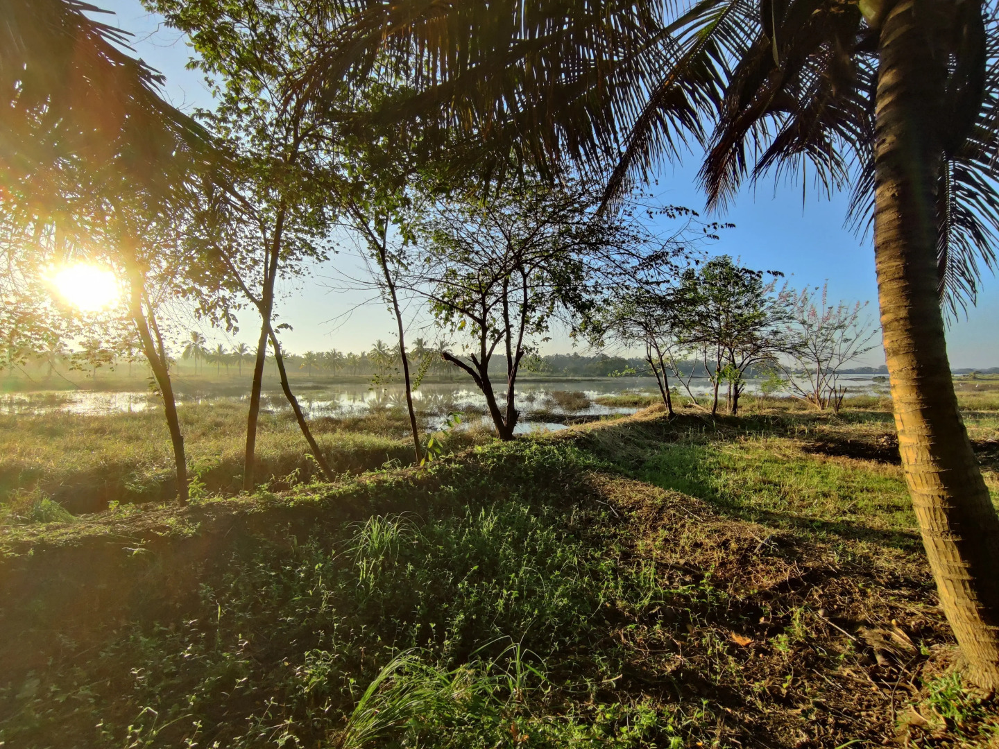 Глэмпинг Harmony Haven in Udawalawe