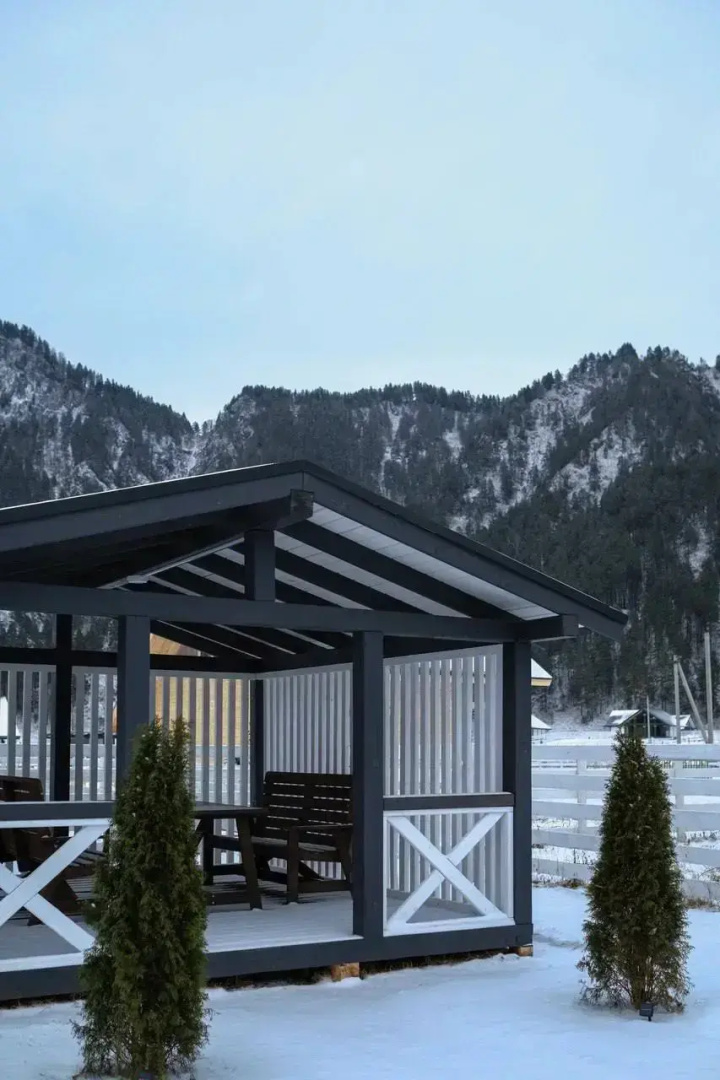 Отель Альпинс Residence