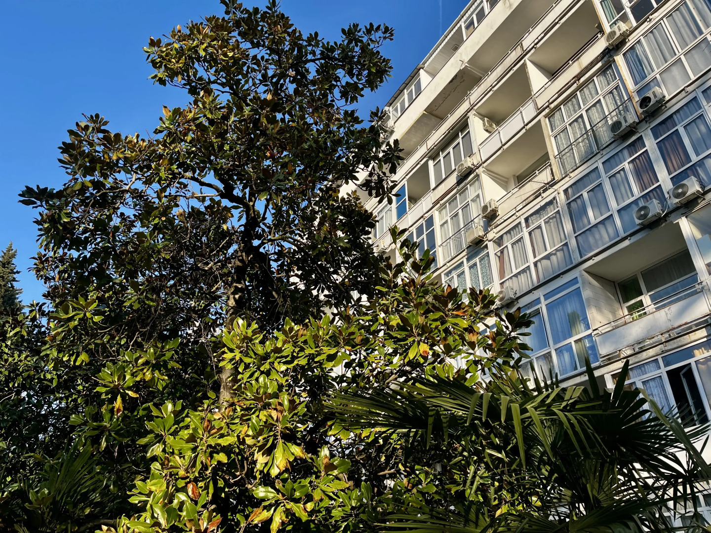 Апартаменты Светлана