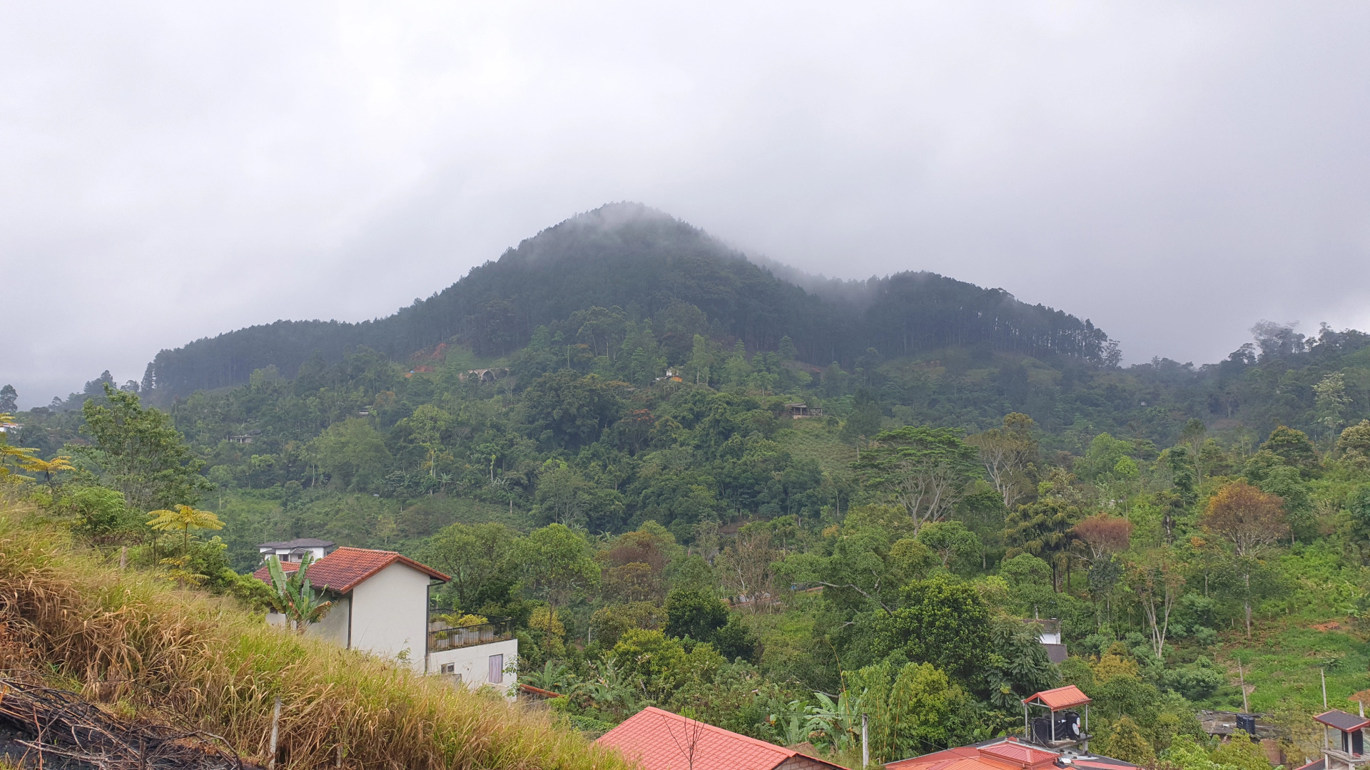 Отель The Cubes Ella