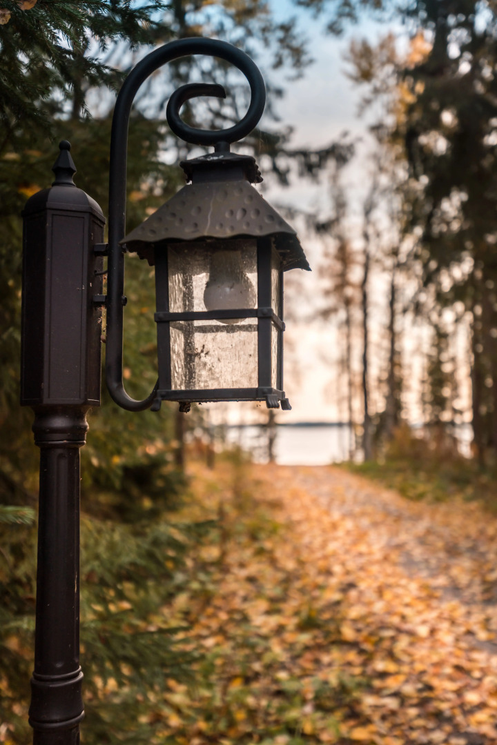 Времена Года