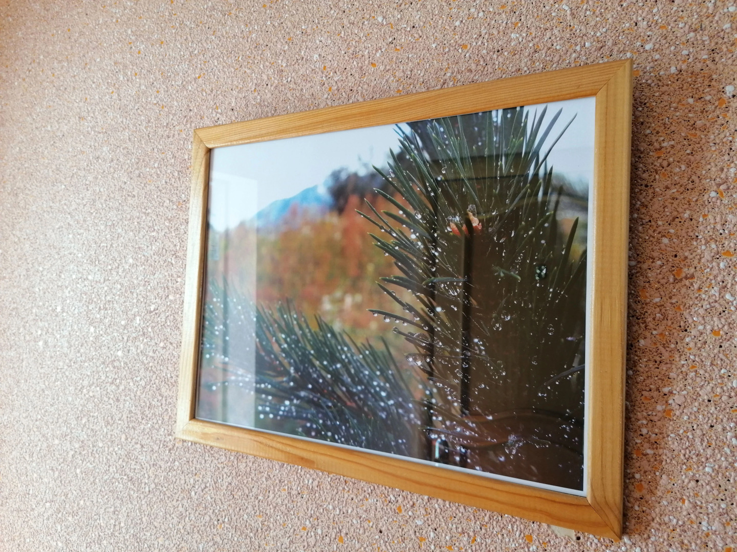 Меблированные комнаты Свирский