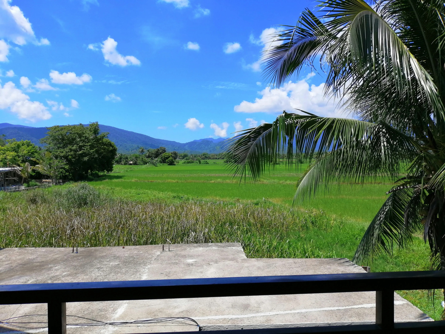 Гостевой Дом Casa Herminia Baler