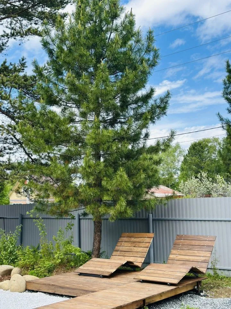 Частный дом Хвоя в окружении кедрового леса