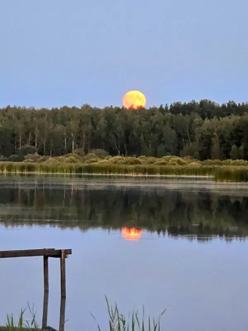 Гостевой Дом Совиный Берег