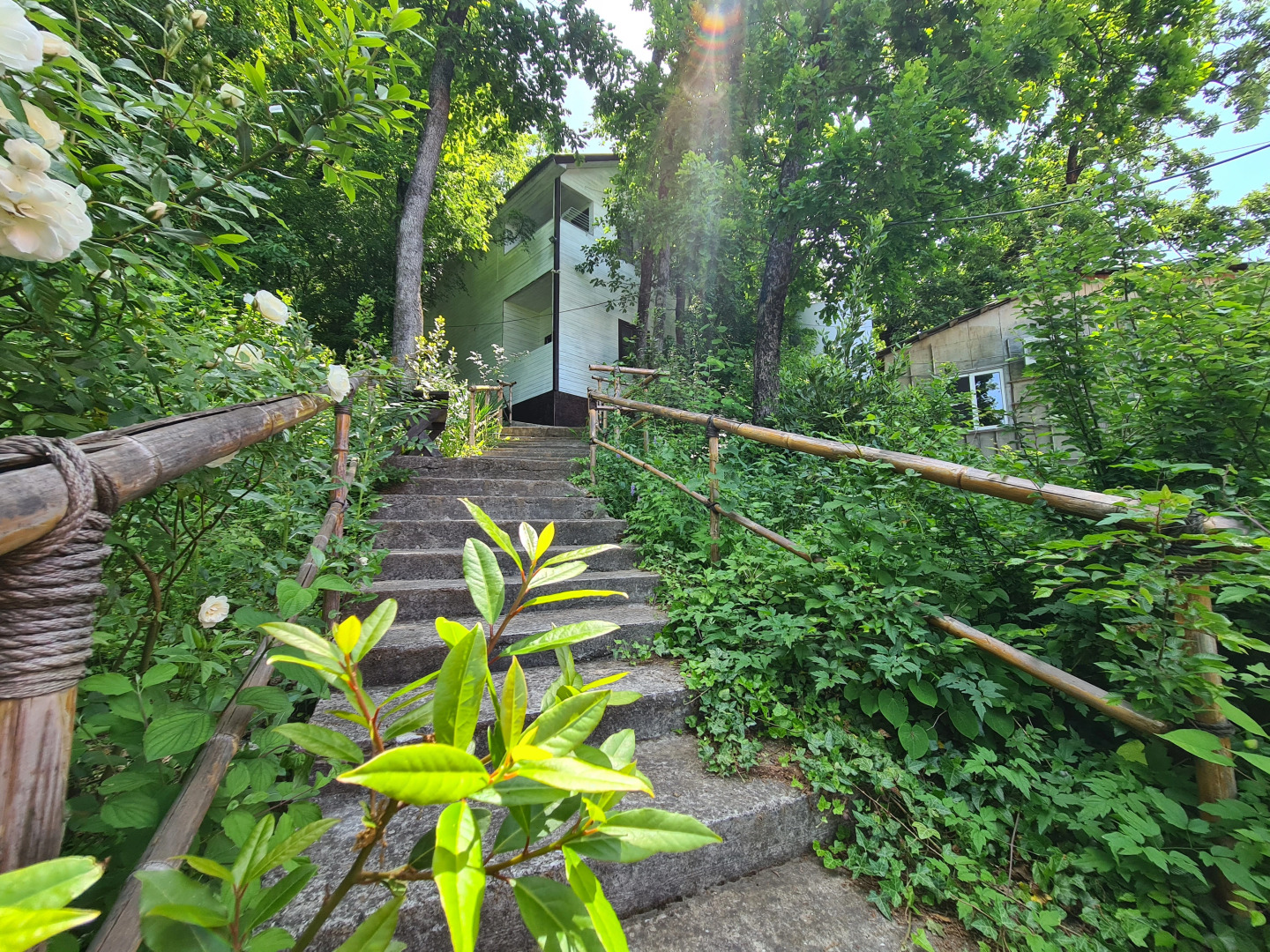 Мини-отель Оранжевое Солнце