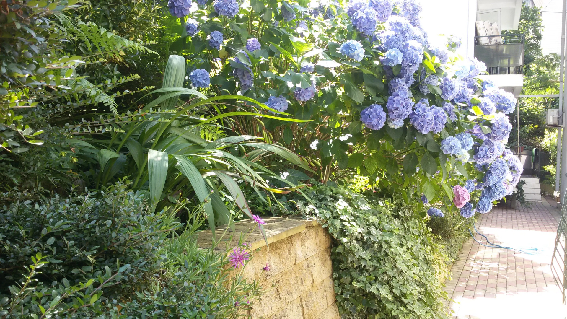 Гостевой дом Эвкалипт