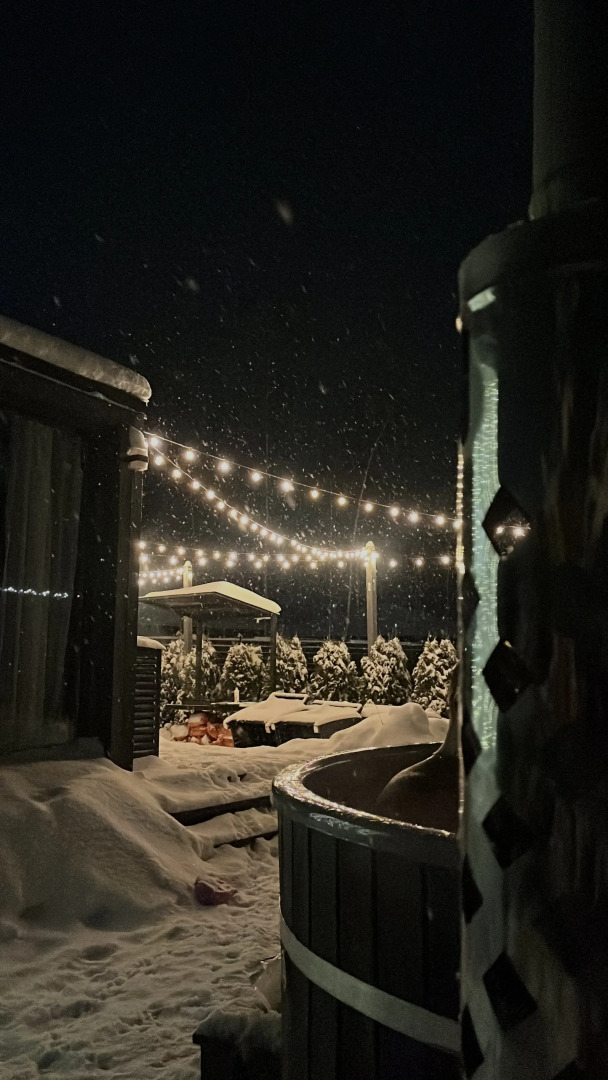 Частный дом Skandi Life