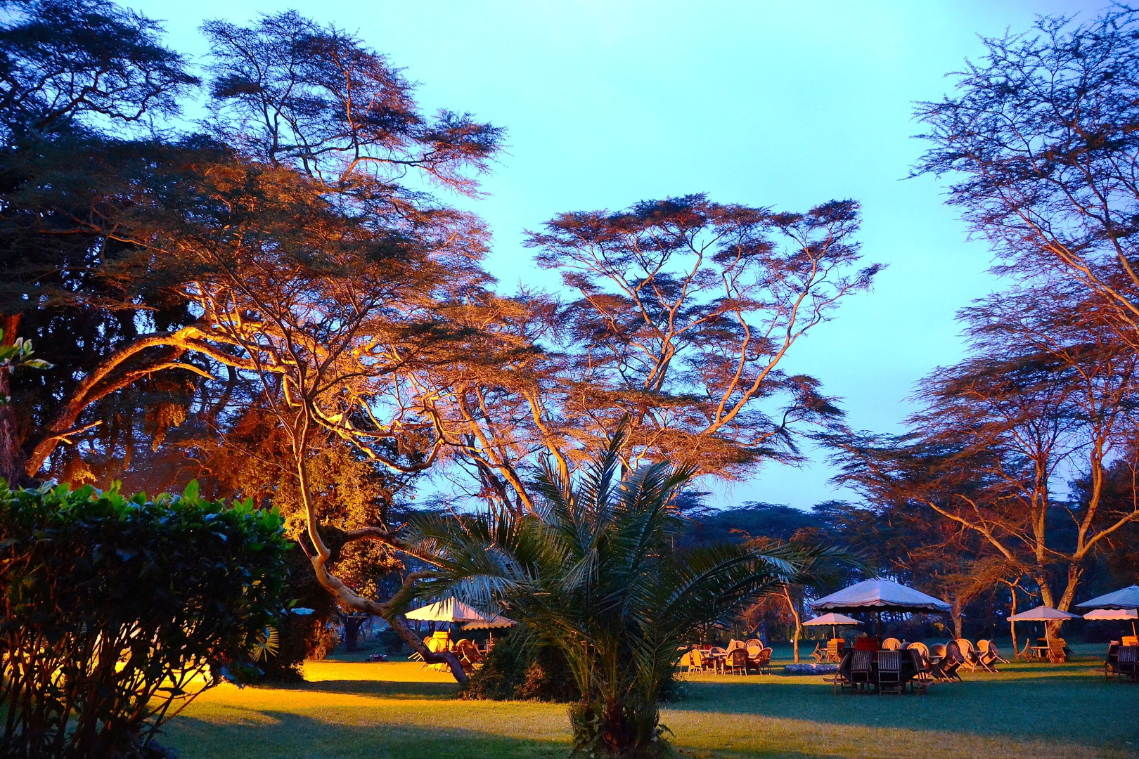 Курортный отель Muthu Lake Naivasha Country Club, Naivasha