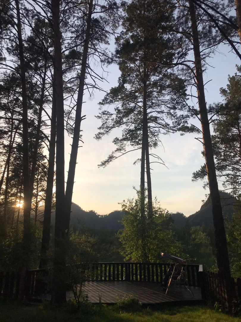 Отель Altai Star