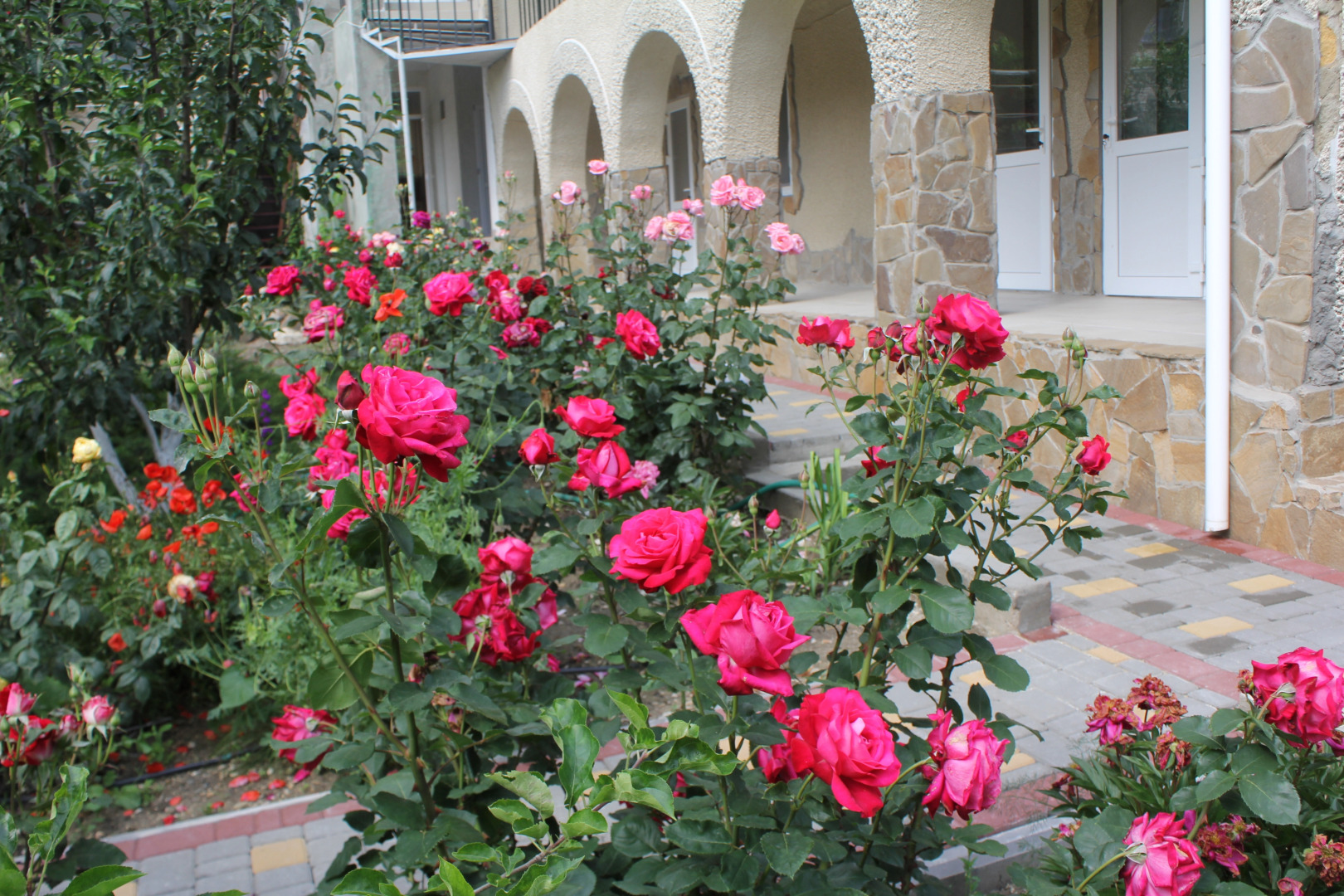 Гостевой Дом Елена