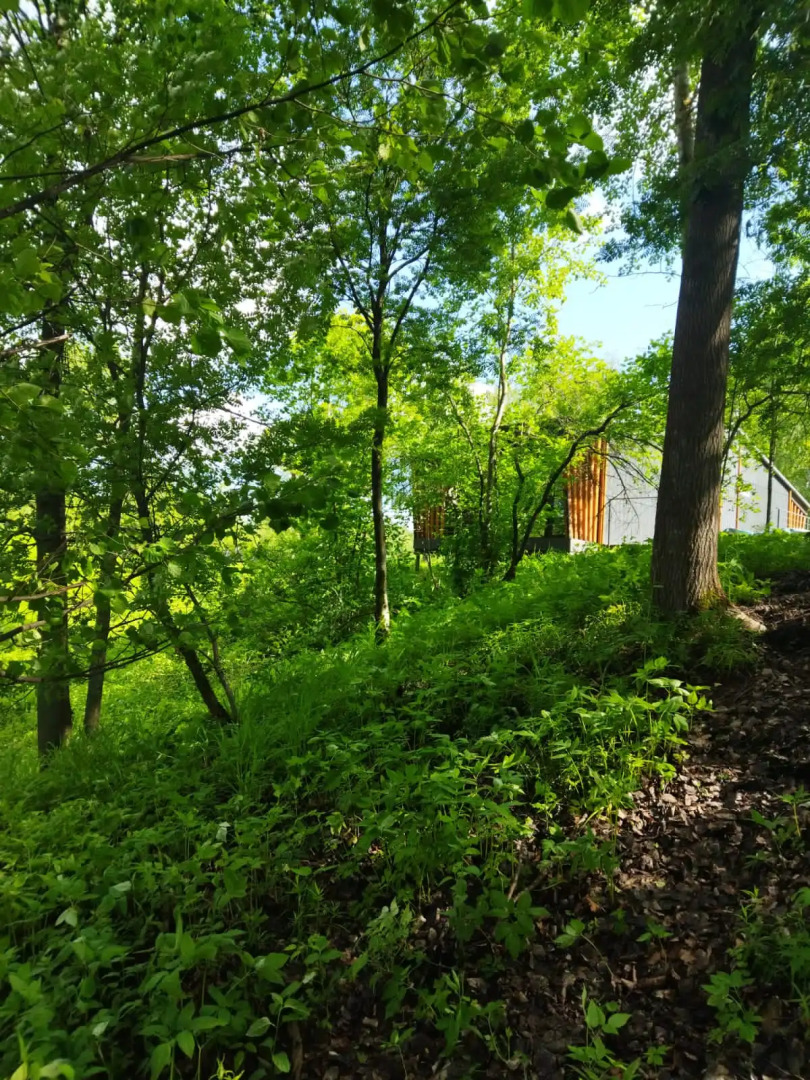 Отель Шепот