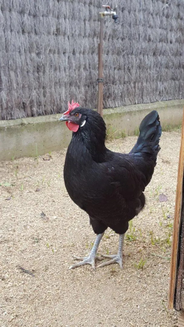 Апарт-Отель Rincón de Piedra BCN