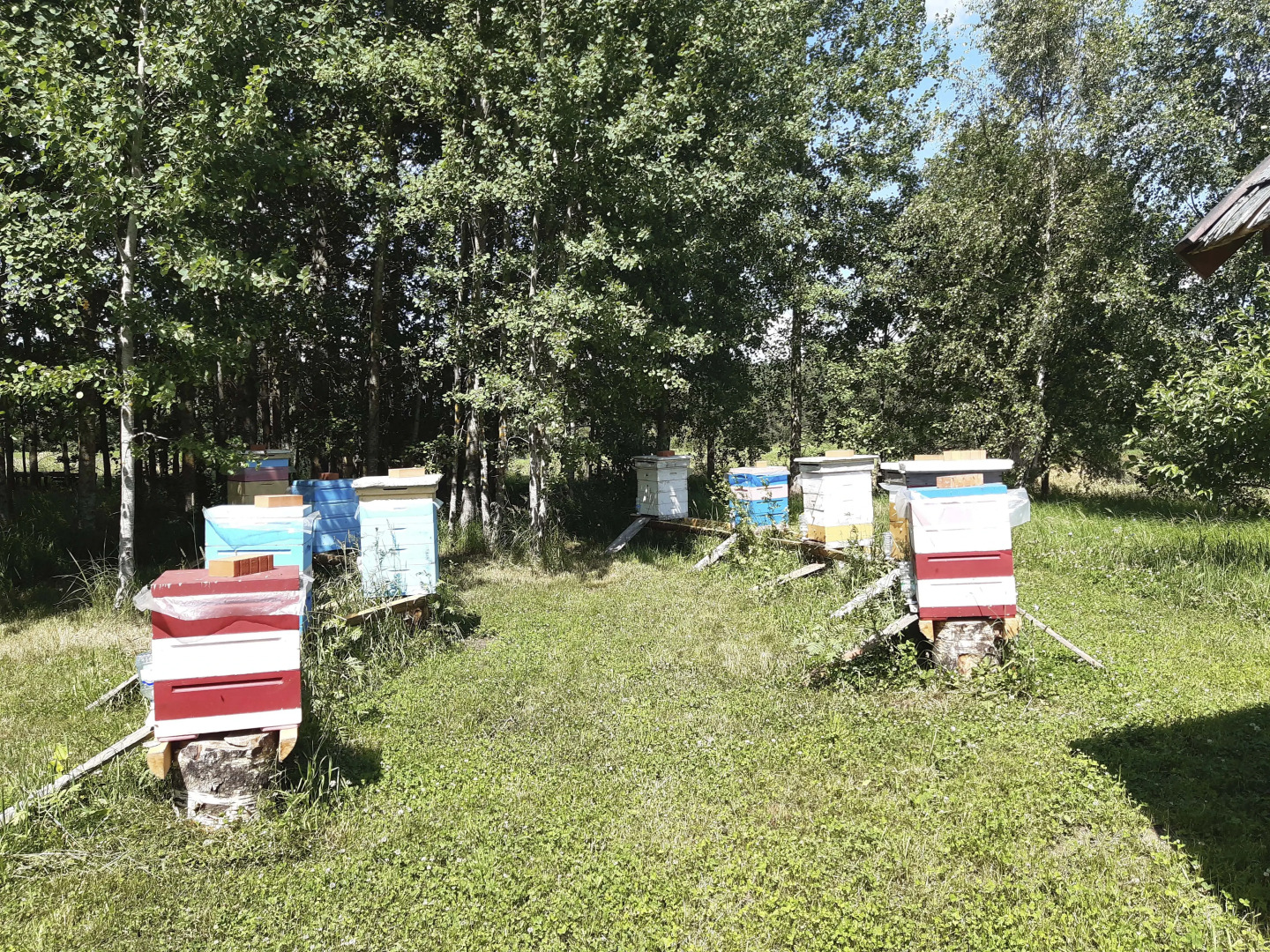 Гостевой дом в деревне Чернокуново