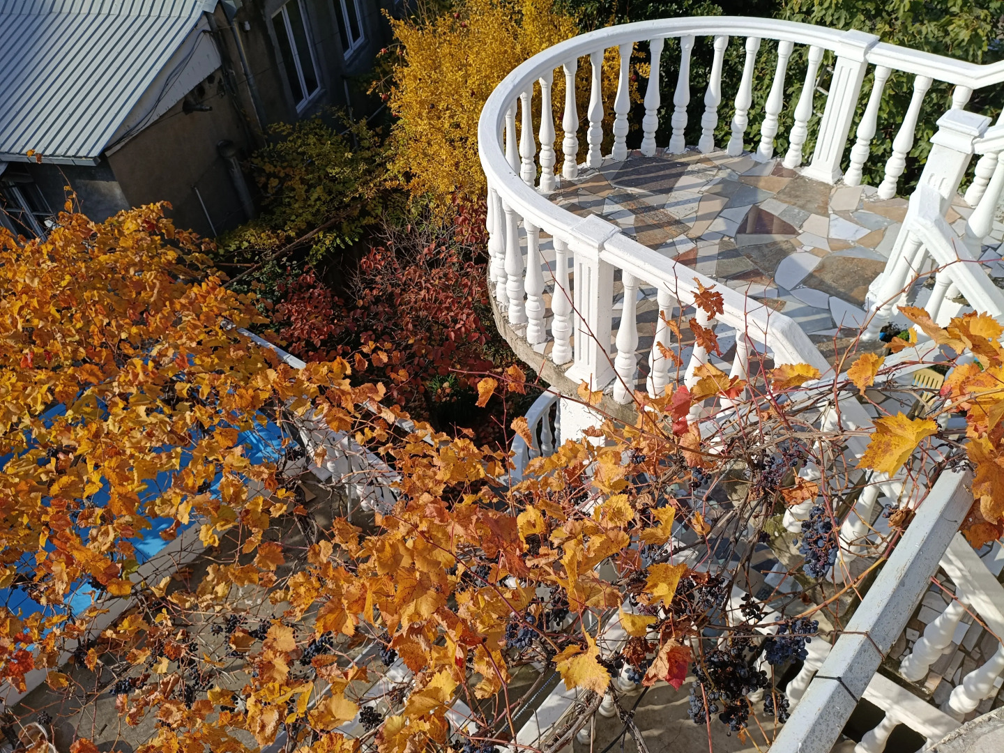 Гостевой Дом Eco-friendly Why Me Tbilisi