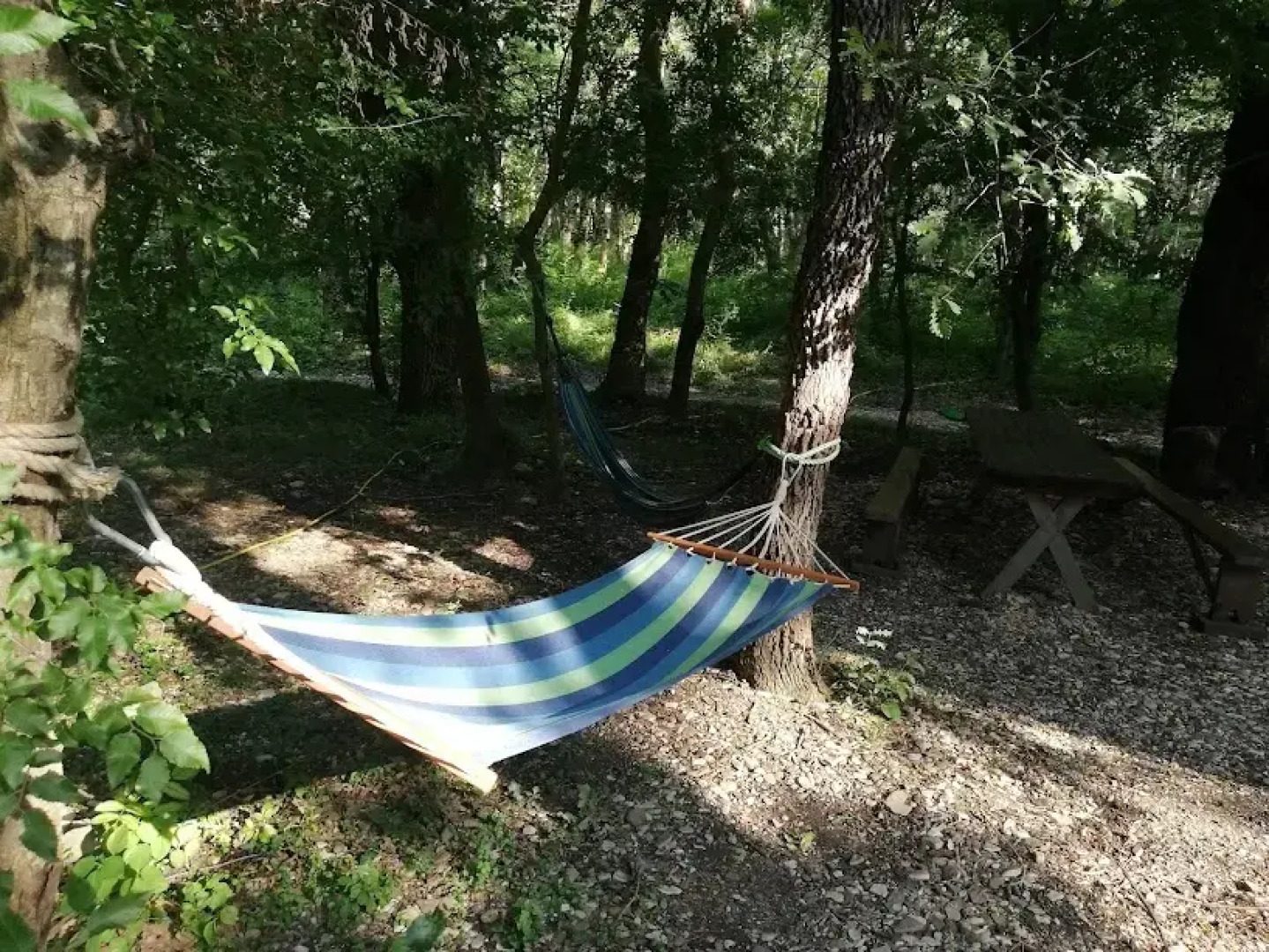 База отдыха Зелёный Бор