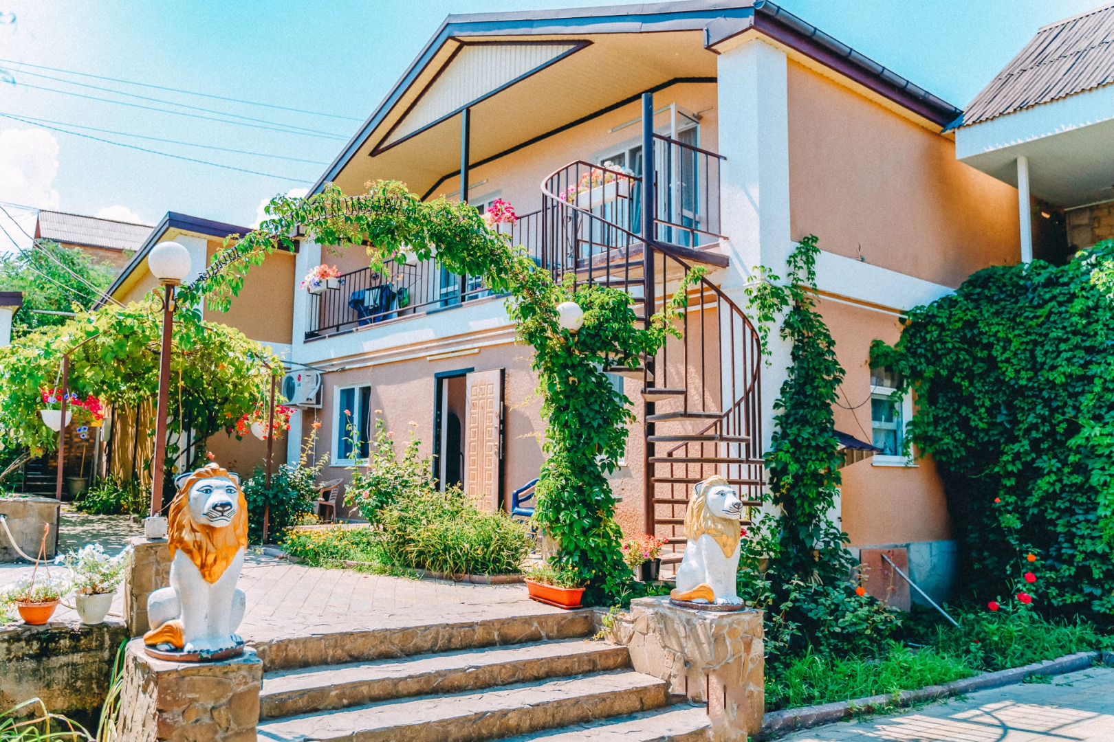 Гостевой дом Lion