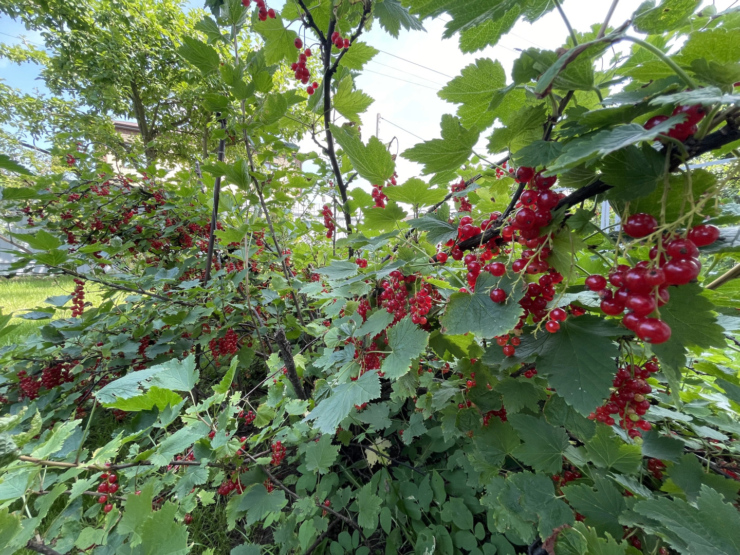Гостевой Дом с Бассейном