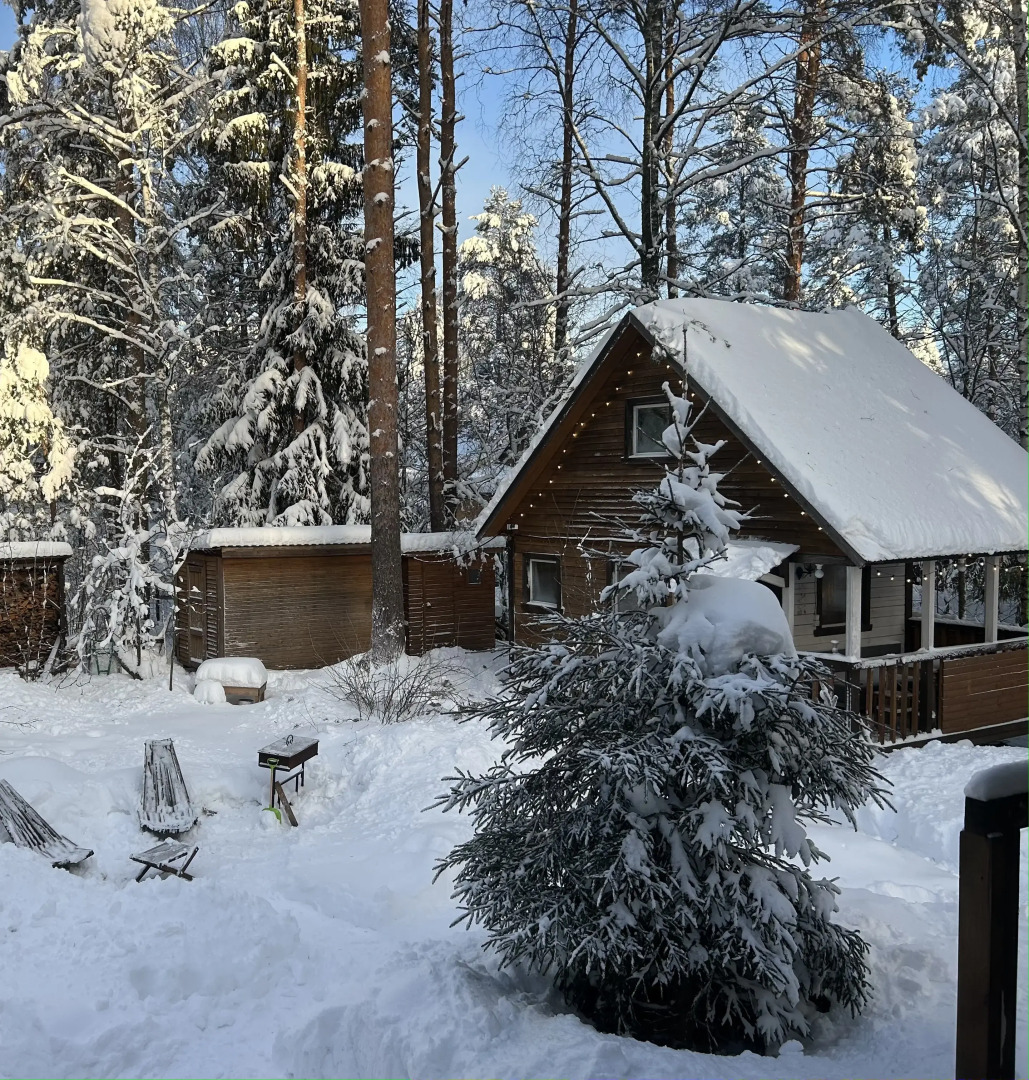 Частный дом у озера с террасой Сосновый дом