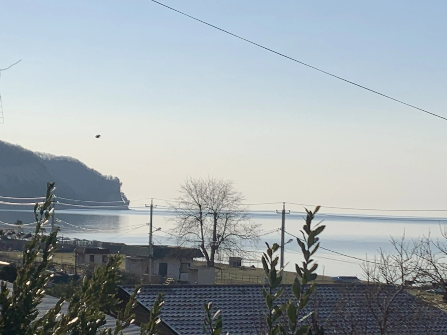 Гостевой дом Riviera