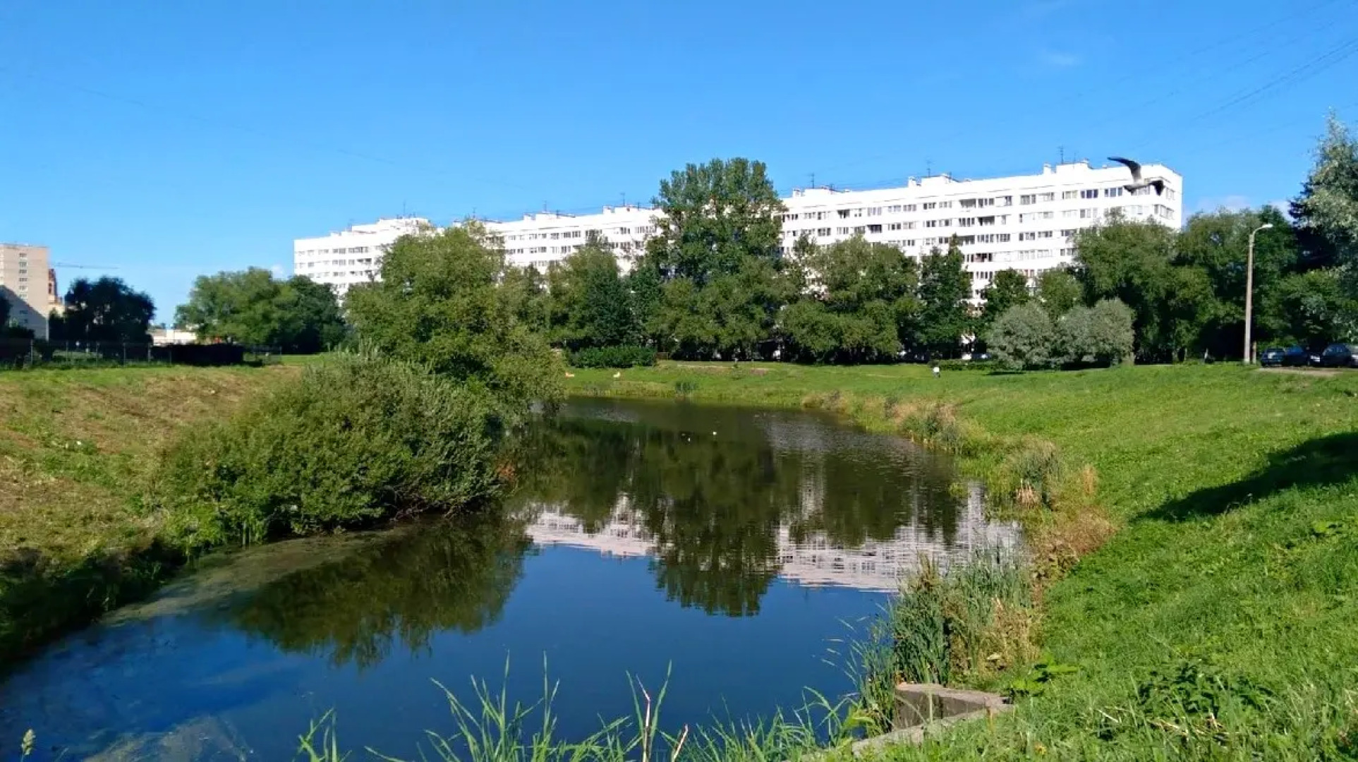 Уютная Квартира рядом с Петергофом проспектом Ветеранов и КАД