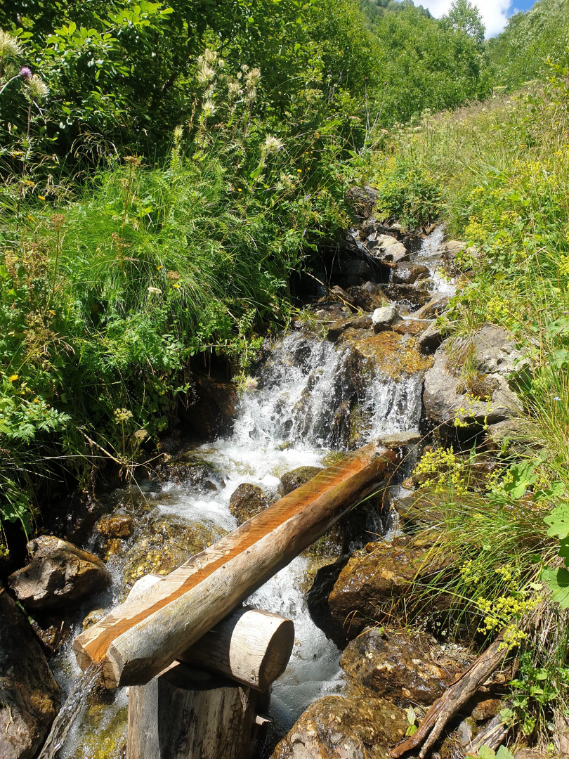 FLORA boutique-hotel