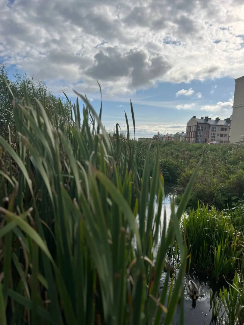 Квартира Уютная на Море Зеленоградск