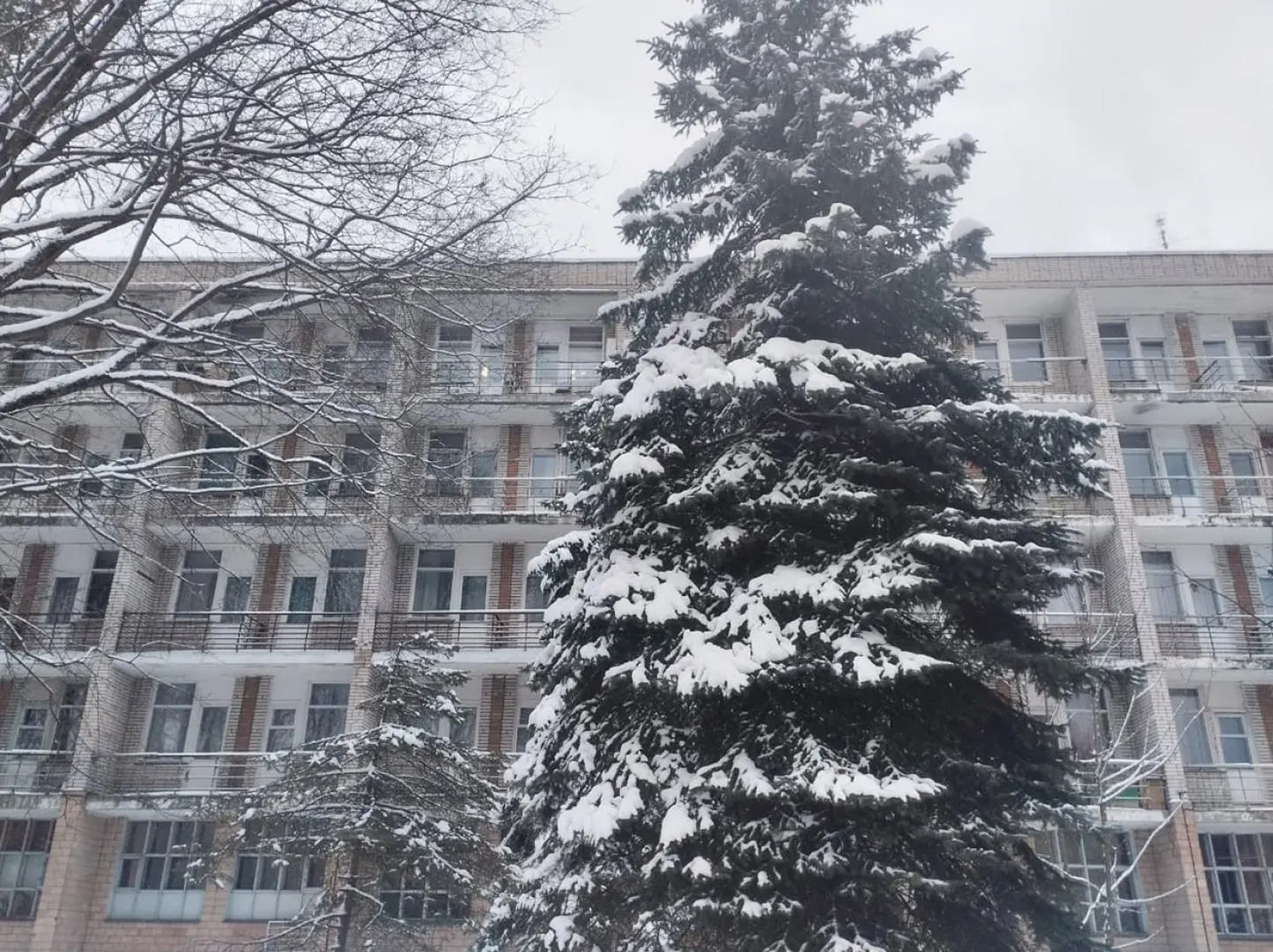 Санаторий-Профилакторий Лесной дворик ЖМЗ