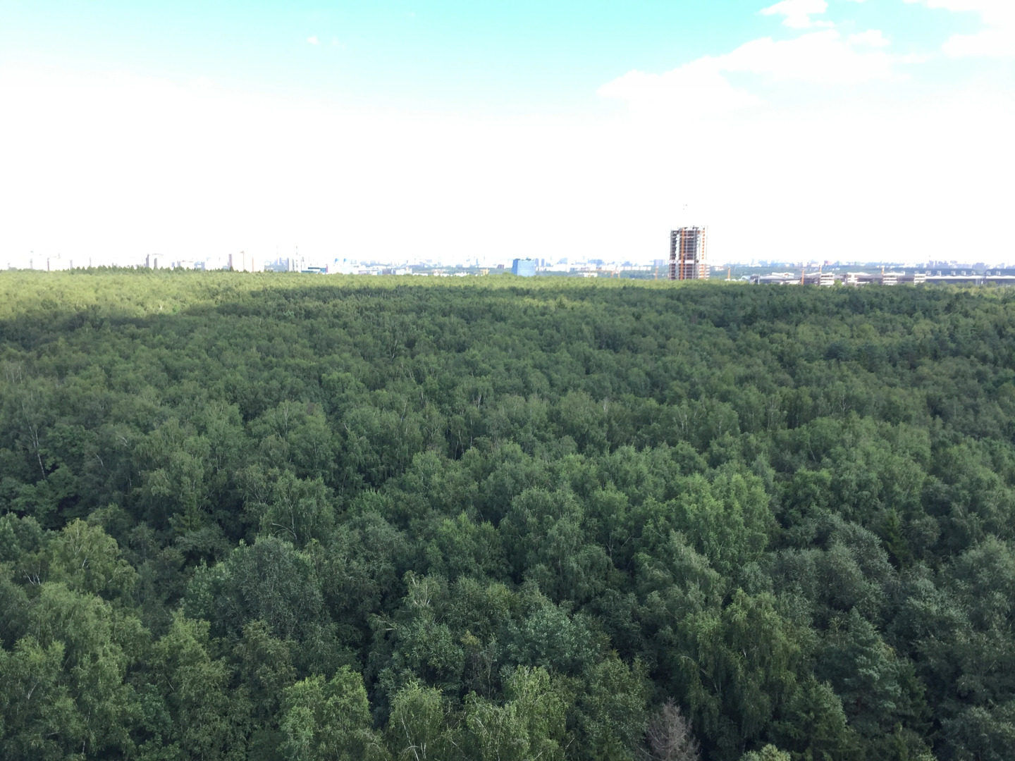 Апартаменты Истоман 2+2 с видом на Лес