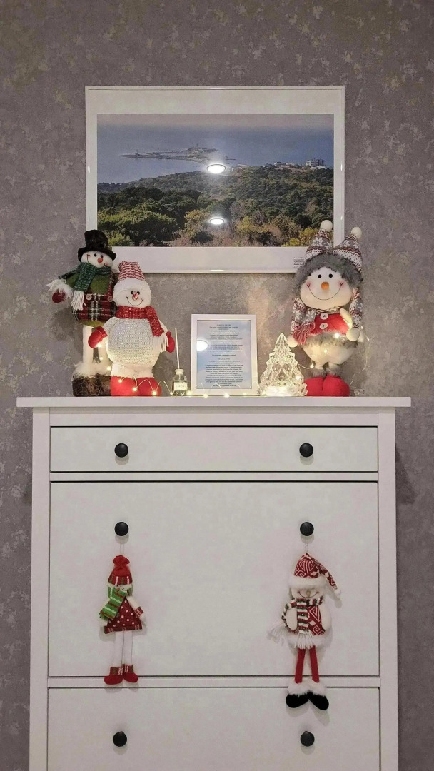 Апартаменты c Высоты Птичьего Полета