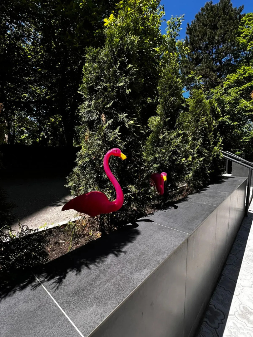 Отель  Турист Кисловодск