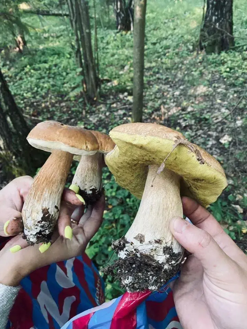 Частный дом Лисья Горка 30